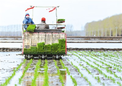 rmrbhwb2020080708p45_b