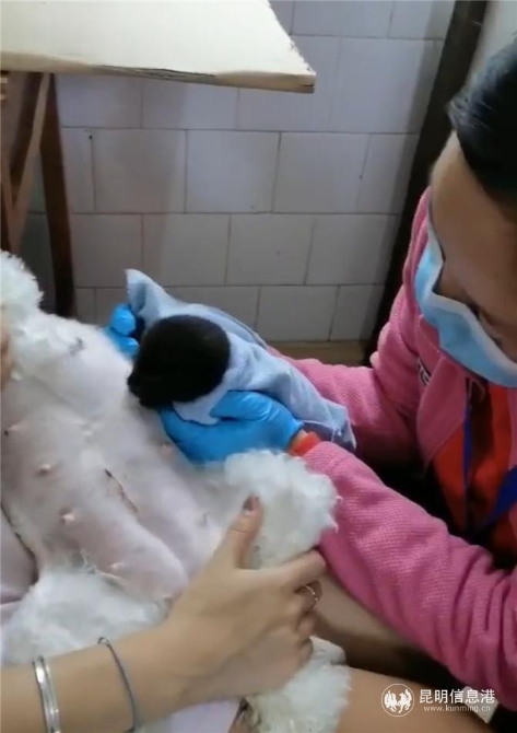 微信圖片_20200807202134