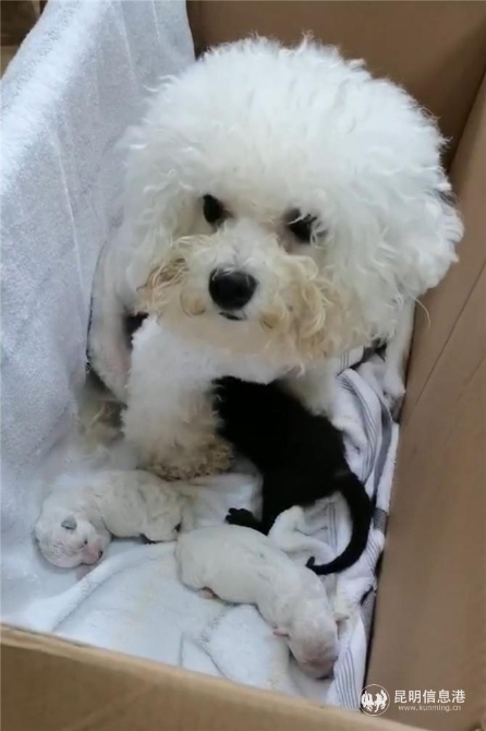 微信圖片_20200807202138