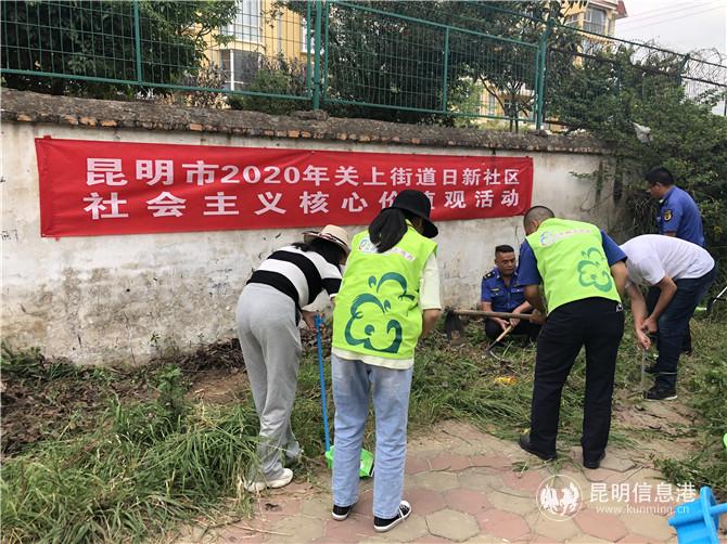 雜草清理 雜草清理