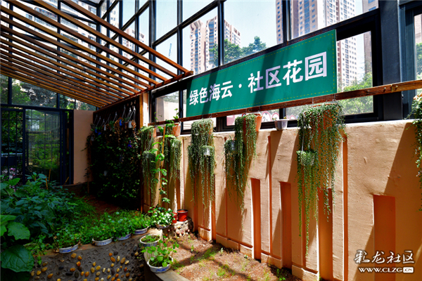 綠色海云 社區(qū)花園 銅鐘攝 綠色海云 社區(qū)花園 銅鐘攝