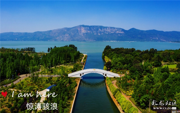 星海濕地公園 驚濤駭浪攝 星海濕地公園 驚濤駭浪攝