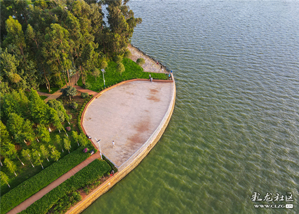星海濕地公園 維梅攝 星海濕地公園 維梅攝