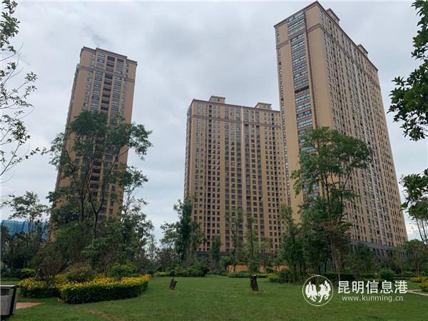 有2000余回遷戶的觀云海小區(qū)。記者勞學(xué)麗 攝