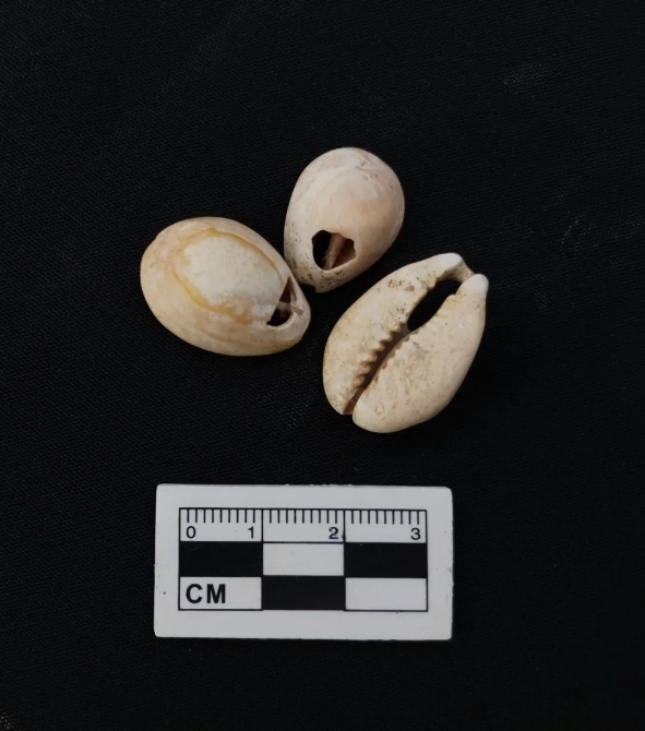 玉龍為都墓地發(fā)掘取得階段性成果