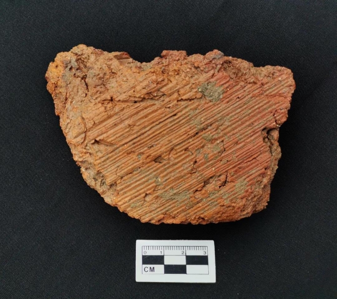 玉龍為都墓地發(fā)掘取得階段性成果