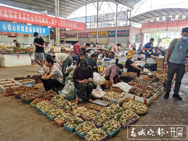 昆明農(nóng)貿(mào)市場嚴(yán)格把控“野生菌安全”