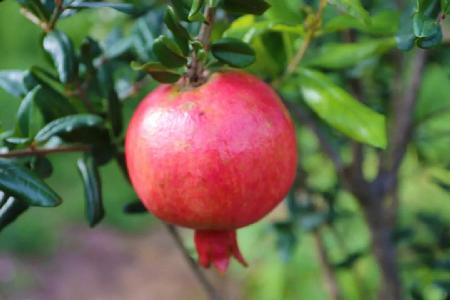 1_20200812095223849001 1_20200812095223849001