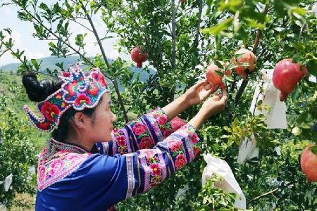 1_20200812095223959002 1_20200812095223959002