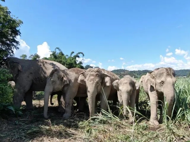 640 (1).webp 640 (1).webp