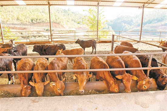 2020081407_res07_attpic_brief 2020081407_res07_attpic_brief