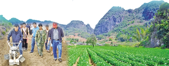 2020081407_res11_attpic_brief 2020081407_res11_attpic_brief