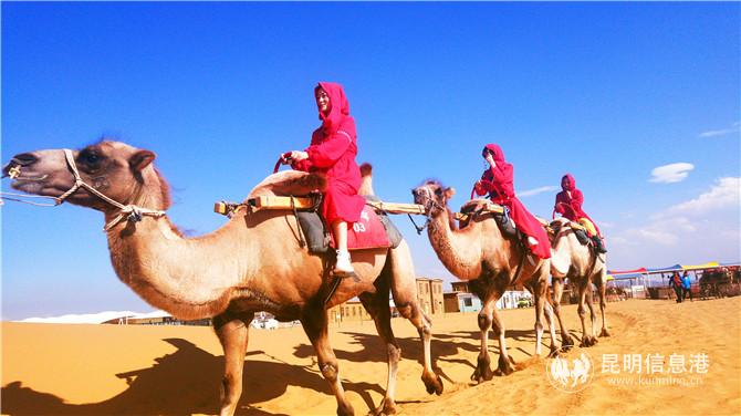 QQ圖片20200814184044