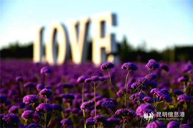 QQ圖片20200814184100