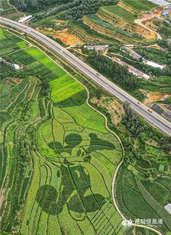 微信圖片_20200815192034