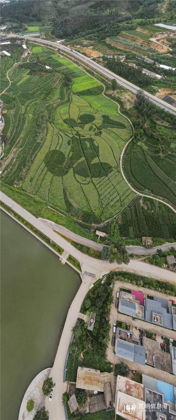 微信圖片_20200815192043