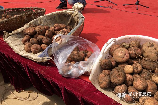 IMG_6759(1) IMG_6759(1)