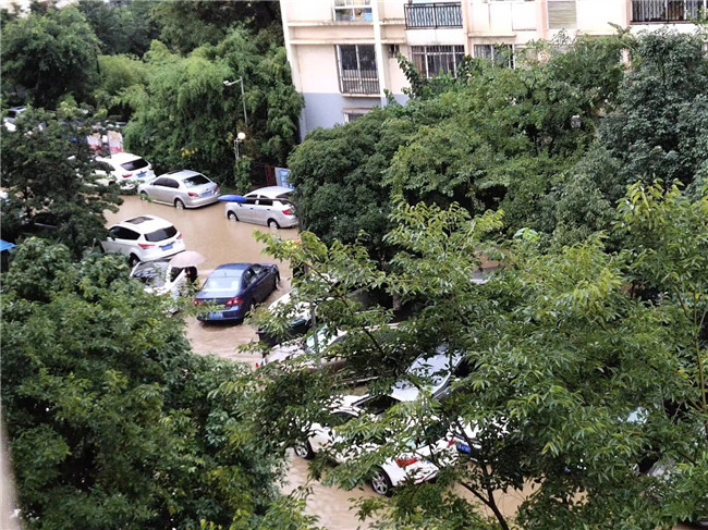 微信圖片_20200817081202