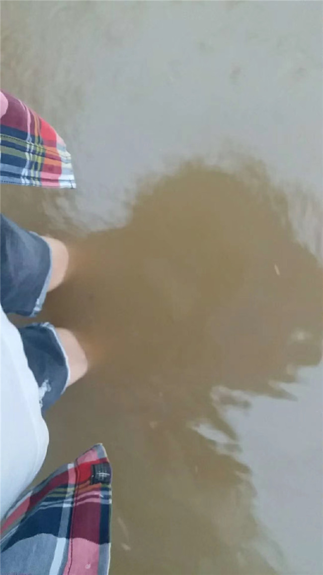 微信圖片_20200817081918