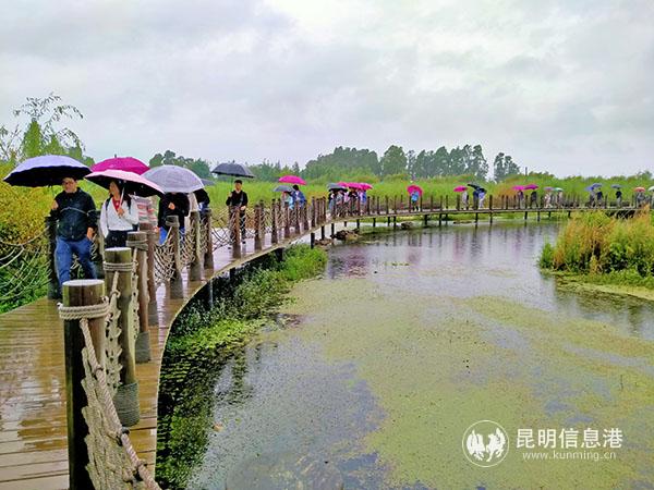 5f3a8e5e17335 5f3a8e5e17335