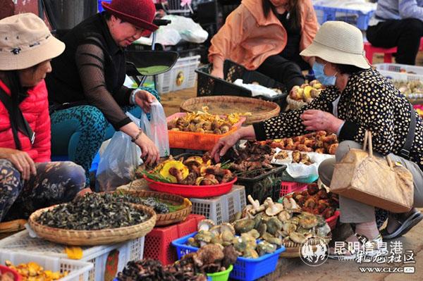木水花野生菌交易市場(chǎng) 周三火攝