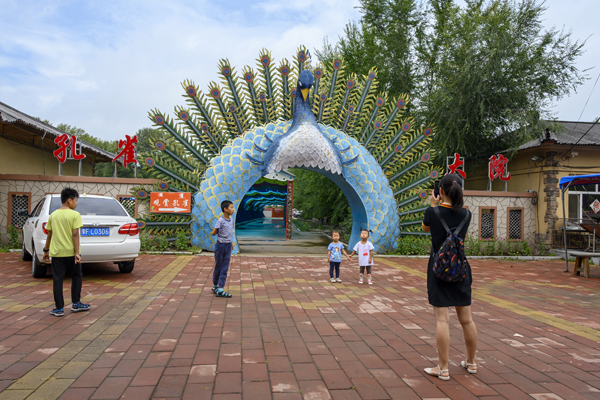 2020年8月，內(nèi)蒙古興安盟義勒力特嘎查，游客在孔雀大院外拍照留念。