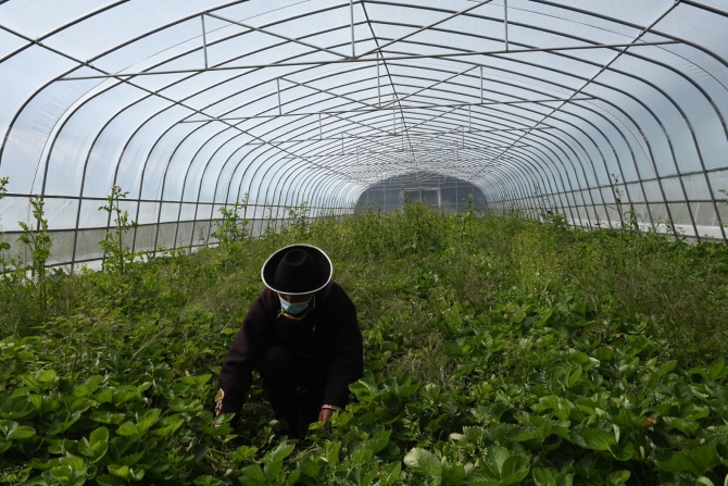 微信圖片_20200818090352.jpg 微信圖片_20200818090352.jpg