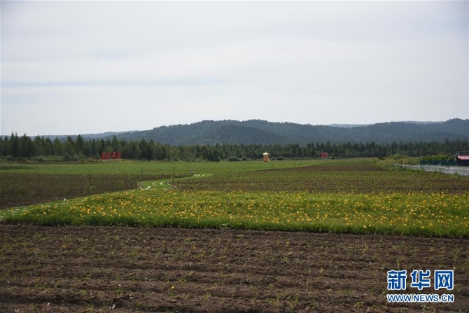 （圖文互動）（3）老林區(qū)變身“山水田園”新民宿