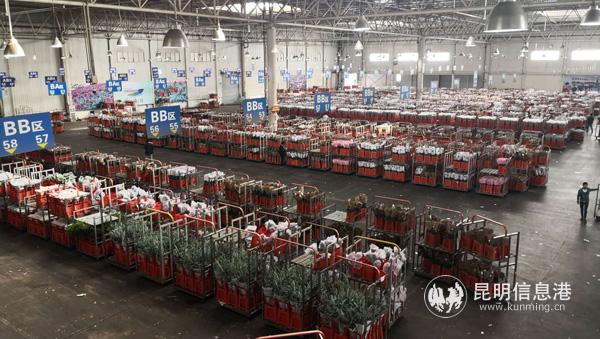 花卉全產(chǎn)業(yè)供應(yīng)鏈體系