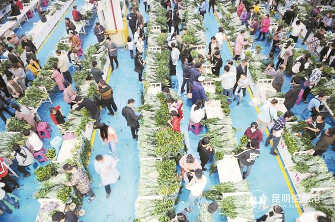 zhw_6495_wps圖片_副本