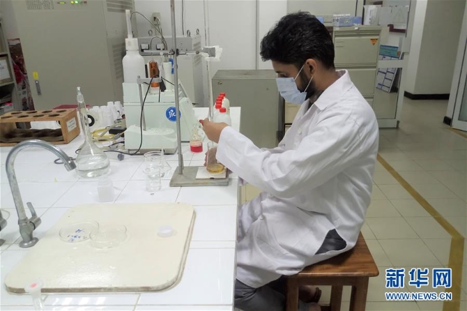 (國際·圖文互動)(4)通訊:疫情下斯里蘭卡留學生接受科研“云指導”