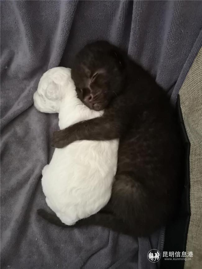 微信圖片_20200825194423 微信圖片_20200825194423