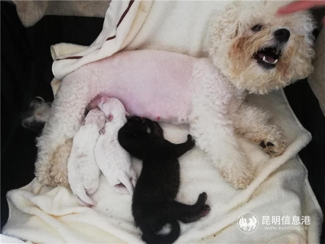 微信圖片_20200825194434 微信圖片_20200825194434