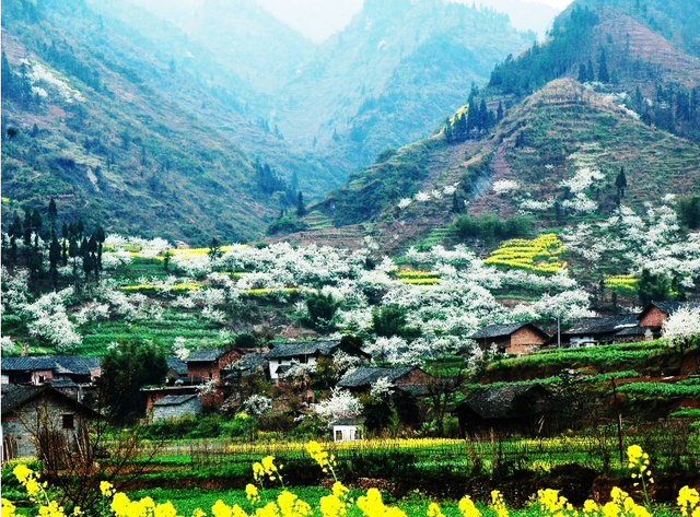 宜畢高速 威信至鎮(zhèn)雄段