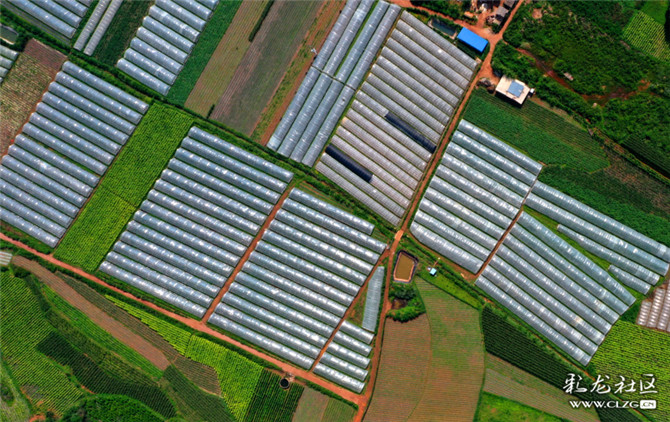 15983670988895504879819982681_7621 15983670988895504879819982681_7621