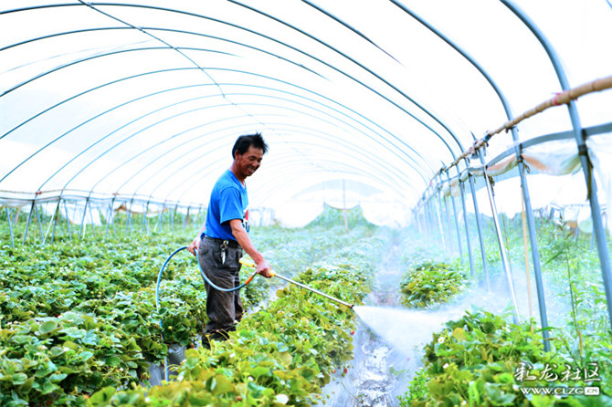 15983670987353422402692278082_7621 15983670987353422402692278082_7621