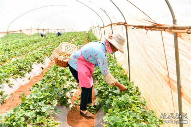 15983670985121554904574846336_7621 15983670985121554904574846336_7621