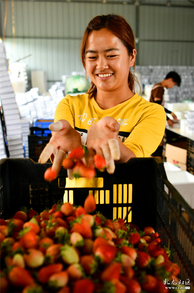 15983670985250065841595368972_7621 15983670985250065841595368972_7621