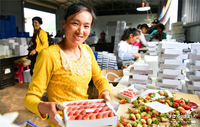 15983670987030411158066370389_7621 15983670987030411158066370389_7621