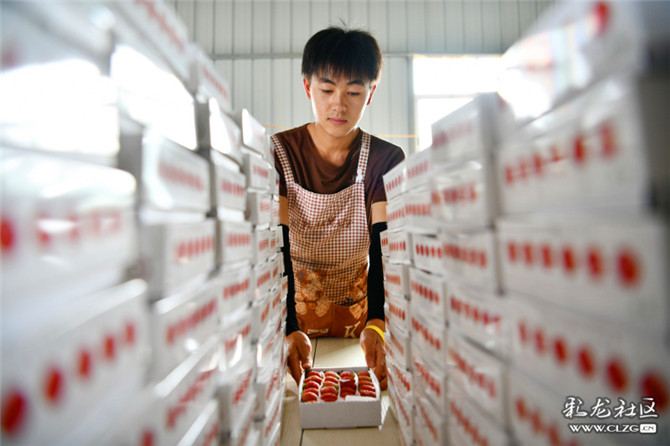 15983670986477123115340489527_7621 15983670986477123115340489527_7621