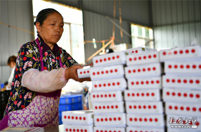 15983670989130028005994100378_7621 15983670989130028005994100378_7621