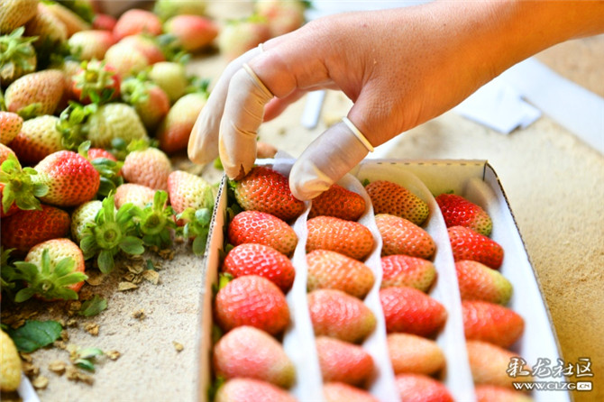 15983670985136628268699257130_7621 15983670985136628268699257130_7621