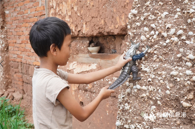 晉寧 河泊村 (7)