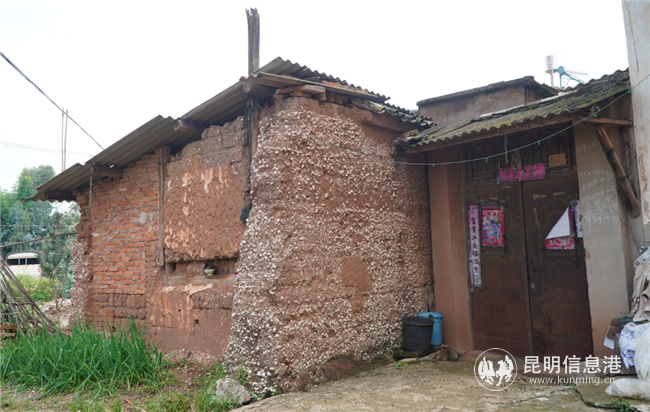 晉寧 河泊村 (4)