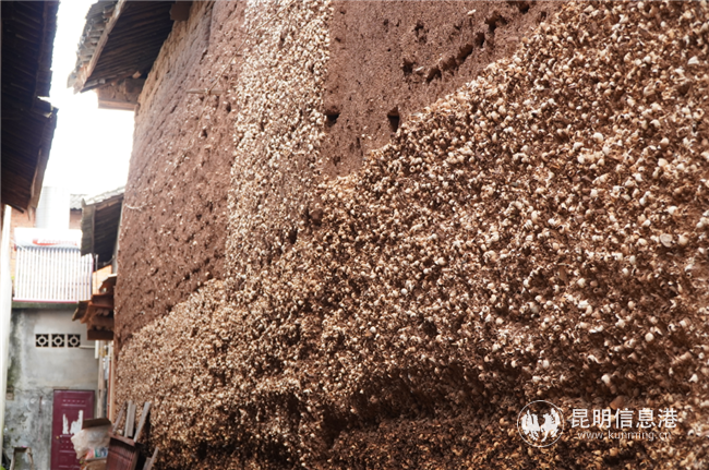 晉寧 河泊村 晉寧 河泊村