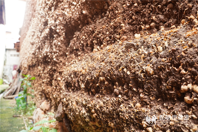 晉寧 河泊村 (1) 晉寧 河泊村 (1)