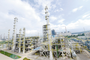 44681598463516064 44681598463516064