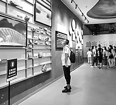 漸行漸暖，復蘇中的旅游業(yè)韌性強活力足