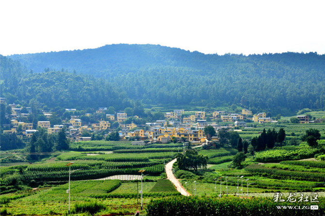 15985065407753640692292090942_76211 15985065407753640692292090942_76211