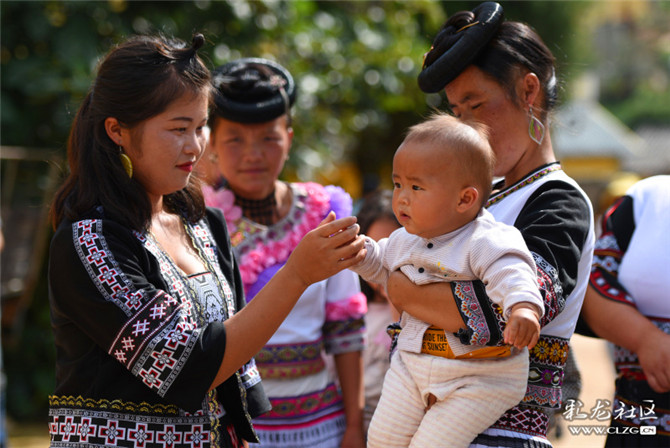 15985065406593436863512631320_76216 15985065406593436863512631320_76216